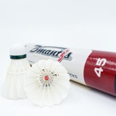 Durable Hybrid 3in1 Shuttlecock  Feather Speed Tournament Badminton Ball Badminton Shuttlecock for Training (Two Tubes)