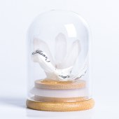 Natural Crystal Wand with Glass Dome Micro Landscape Crystal Tree – Educational Holiday Gift for Children and Home Decor Ornament