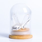 Natural Crystal Wand with Glass Dome Micro Landscape Crystal Tree – Educational Holiday Gift for Children and Home Decor Ornament