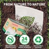 Biodegradable Resealable Sandwich Zip Lock (18x17cm) 50 Bags Per Box