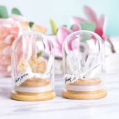 Natural Crystal Wand with Glass Dome Micro Landscape Crystal Tree – Educational Holiday Gift for Children and Home Decor Ornament